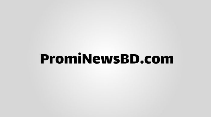 Promi News BD