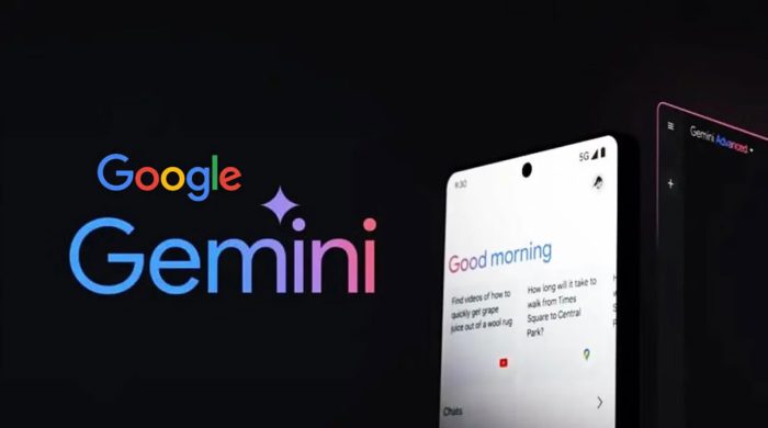 gemini