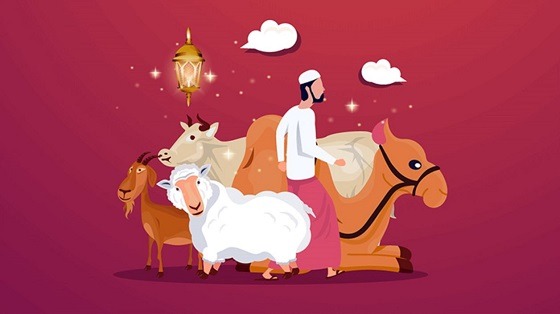 Qurbani